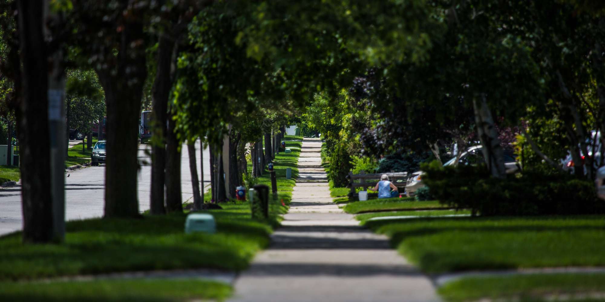 Tree-lined walking path through park in Creditview Mississauga neighbourhood