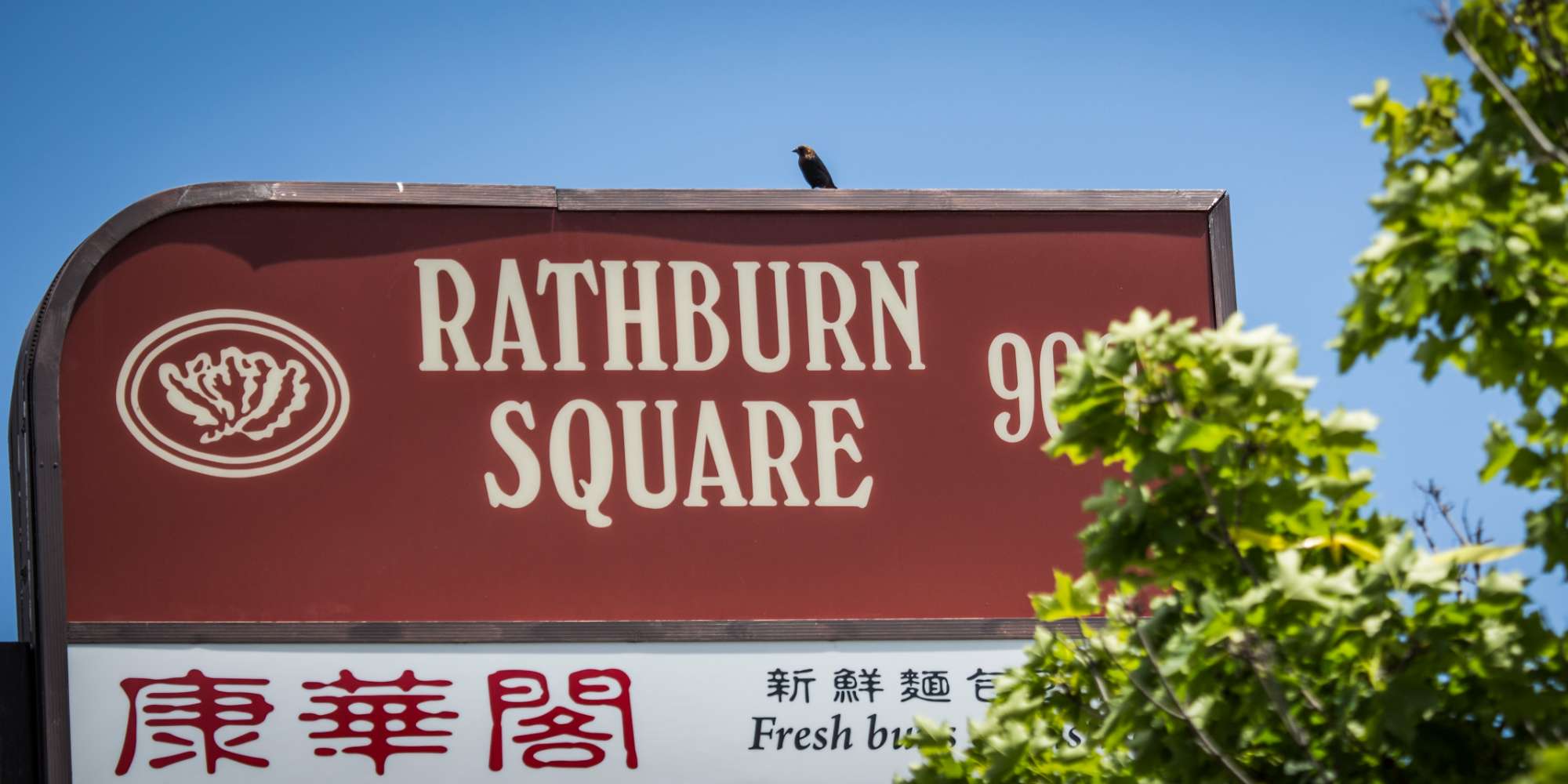 Rathburn Square shopping plaza sign in Creditview Mississauga neighbourhood