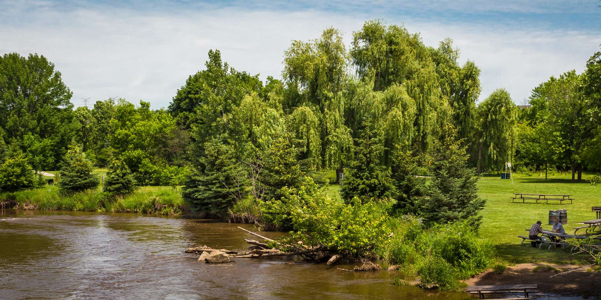 Tree-lined residential street with family homes in Meadowvale Village Mississauga