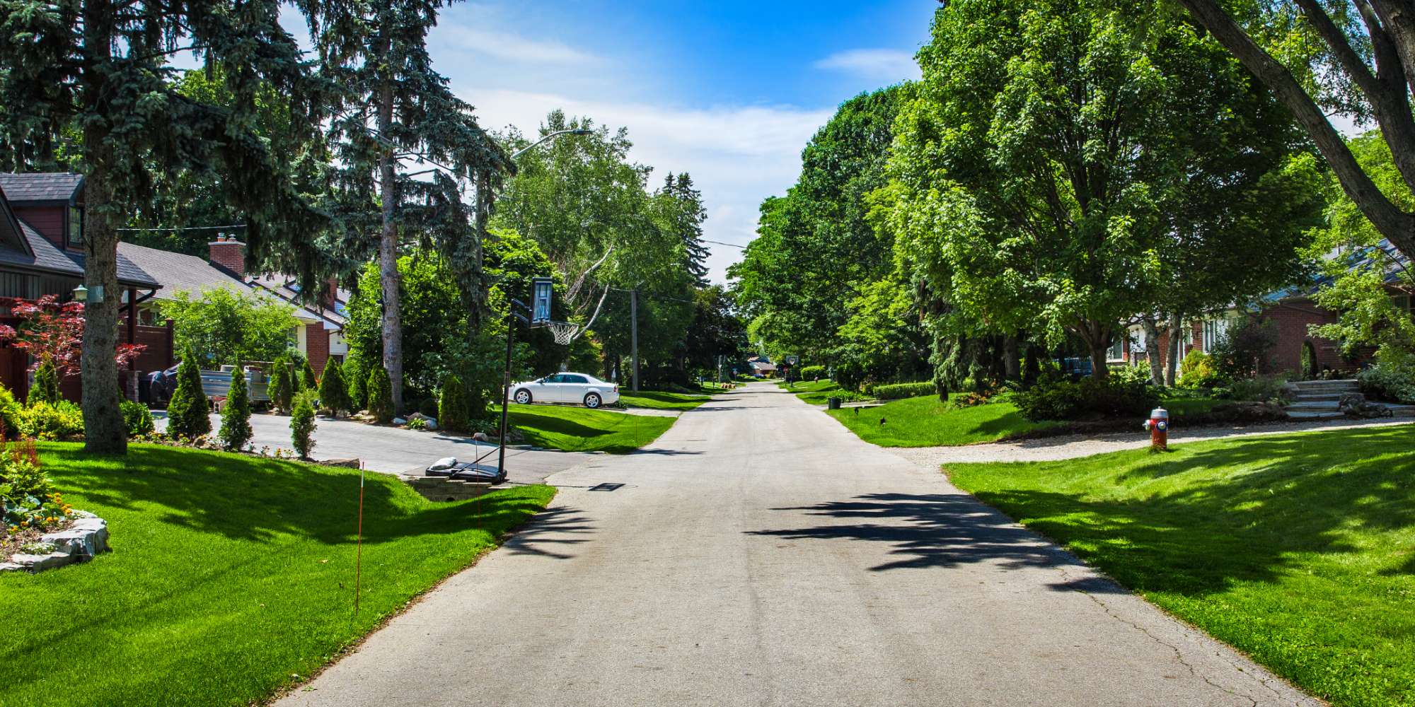 Tree-lined residential street with mature trees in Lakeview Mississauga