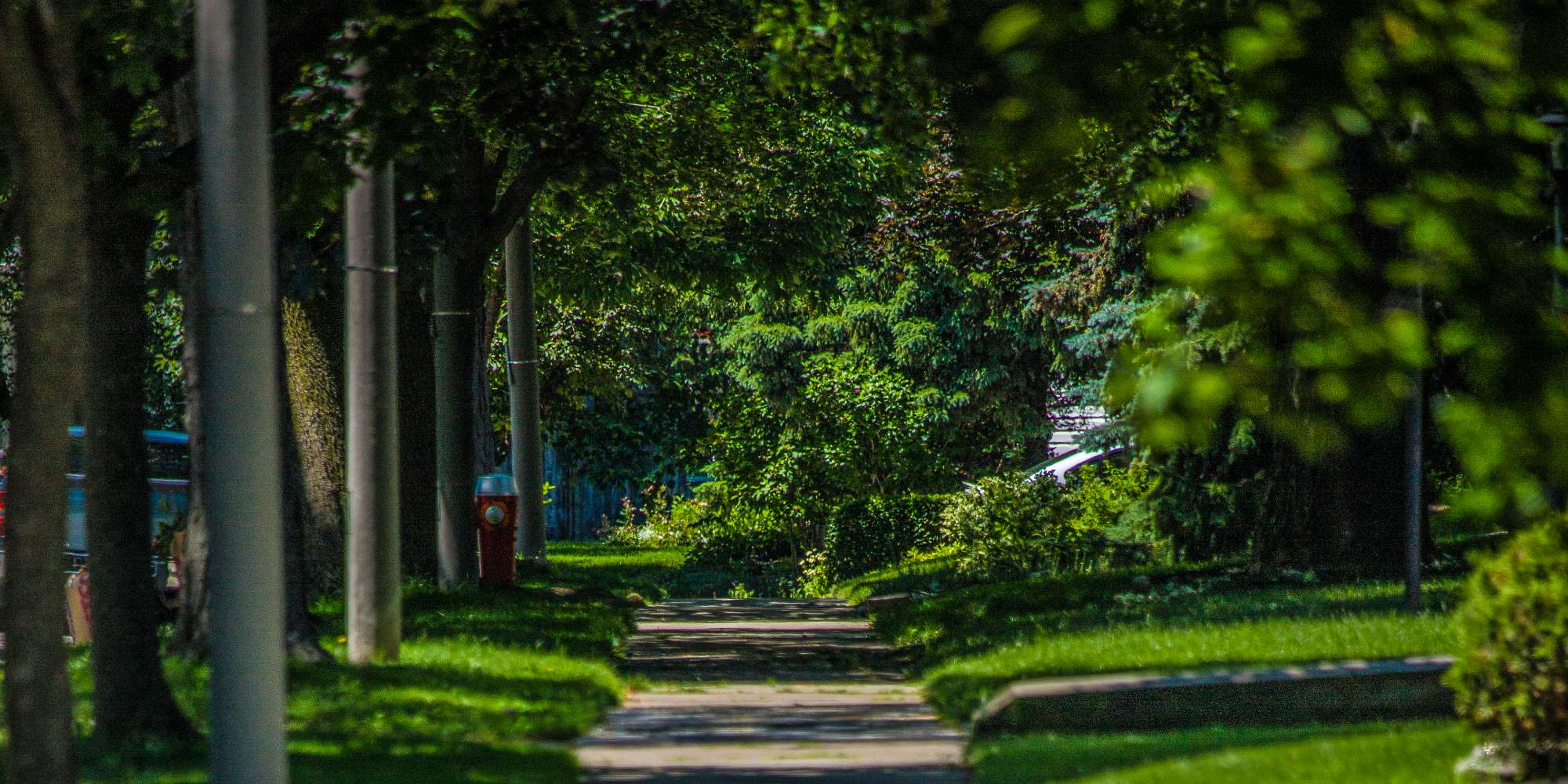 Park and green space with mature trees in Applewood neighbourhood Mississauga