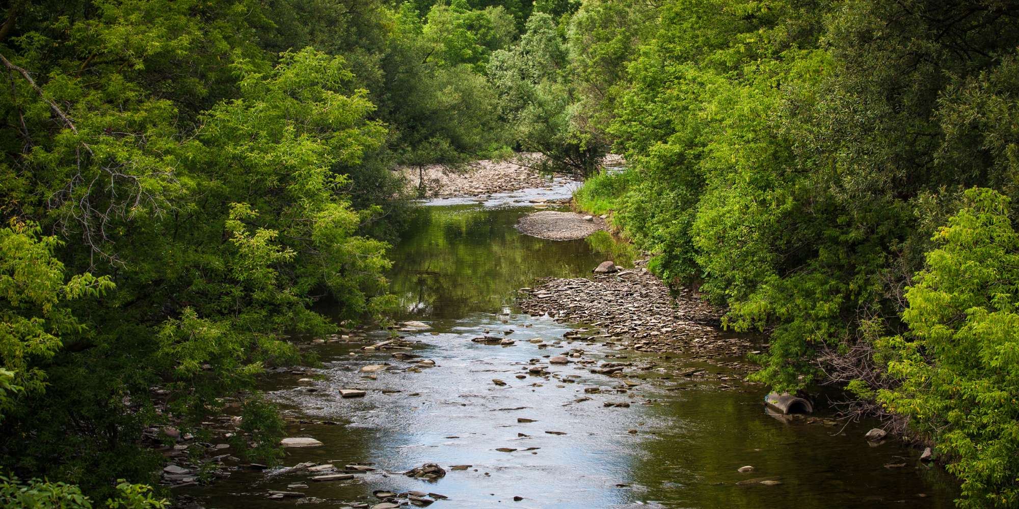 Park with pond and mature trees in Rathwood neighbourhood Mississauga