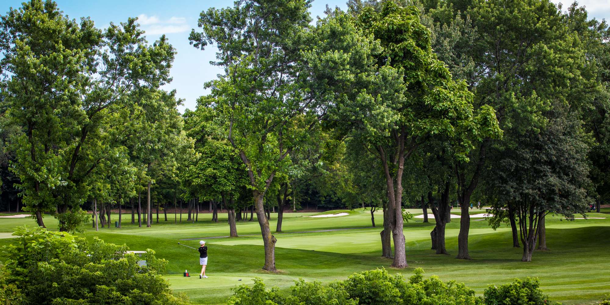 Park with mature trees and green space in Rathwood neighbourhood Mississauga