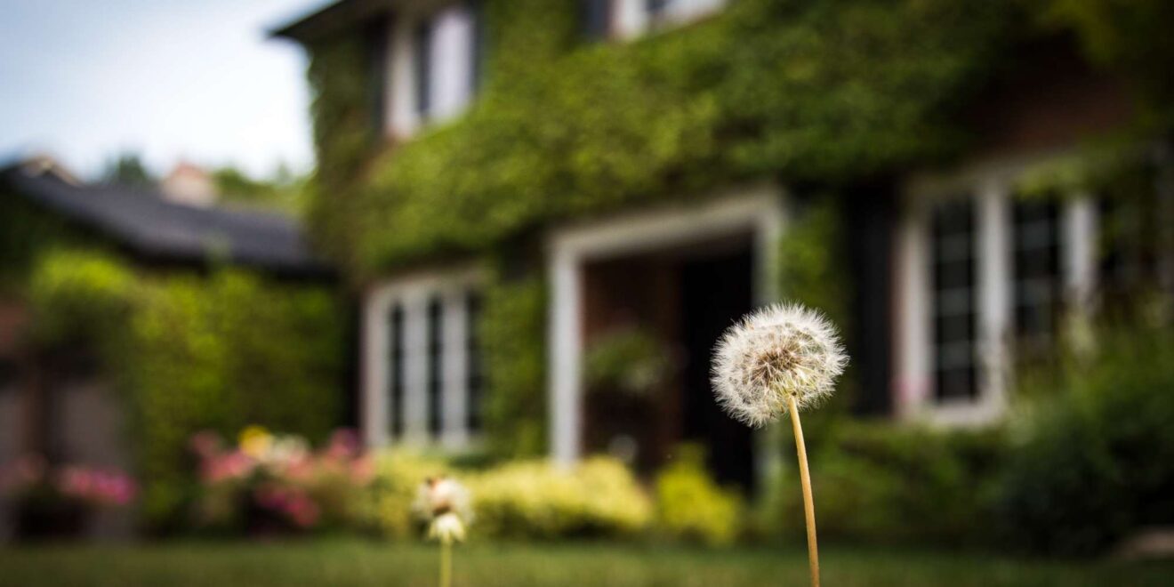 Front garden and home exterior in the Ford neighbourhood, Oakville, Ontario
