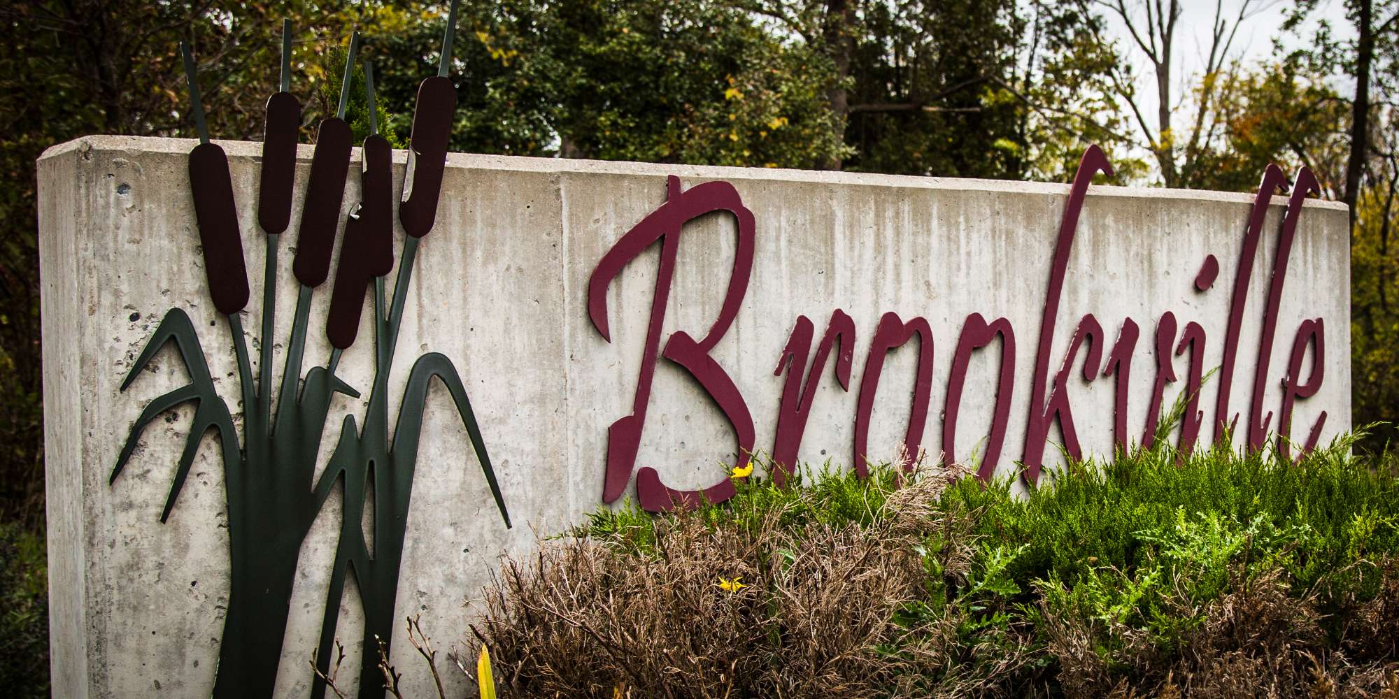 Brookville sign surrounded by fall foliage in Milton Ontario
