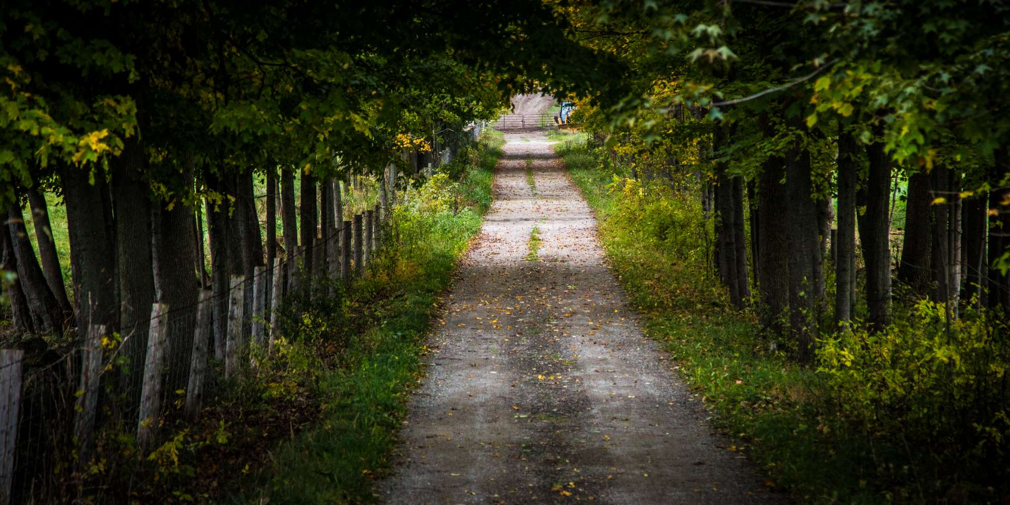 Open fields and mature trees in the Brookville neighbourhood of Milton Ontario