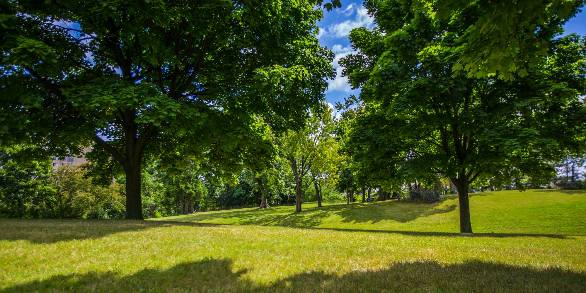 Tree-lined residential street with family homes in Meadowvale Mississauga
