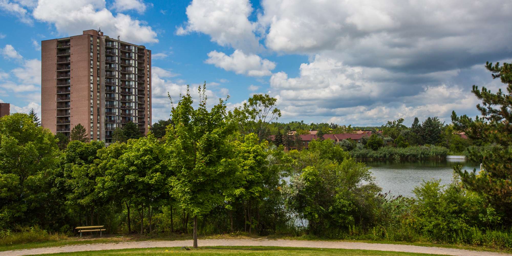 Park and green space with mature trees in Meadowvale Mississauga neighbourhood