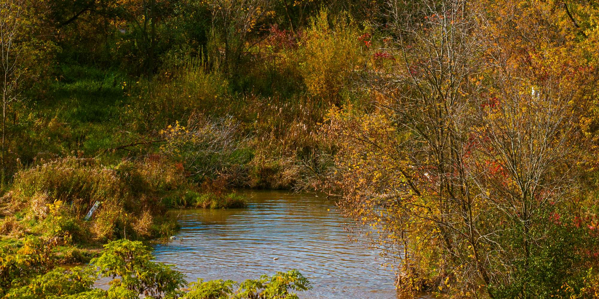 Credit River trail and natural area in Erindale neighbourhood Mississauga