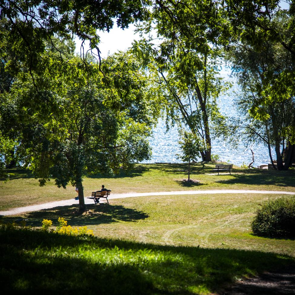 Tree-lined park in Oakville Ontario showing a safe and peaceful neighbourhood setting